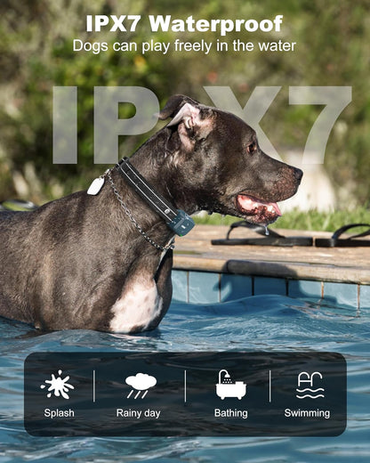 🐕Dog training collar | Waterproof, suitable for all breeds