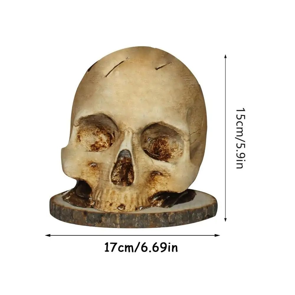 ☠Gothic Skull Knife Holder